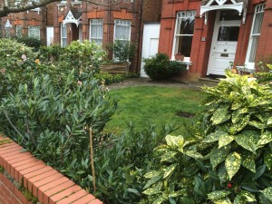 85EA8B20-2DD9-4434-BEBD-55A580164E50