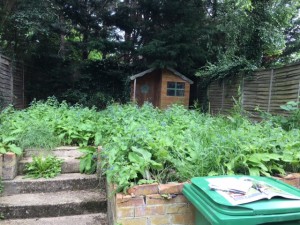 670CC4F3-0961-47F1-8E03-CD1E081E13E6(1)