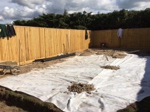 ABC9B1A9-7455-4025-859A-C1D685C2B0BA