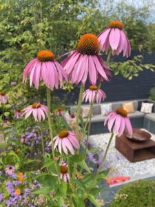 Flower beds