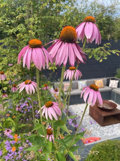 Six things to tackle in the garden before spring settles in