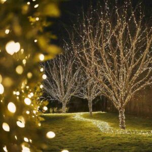 Christmas decor