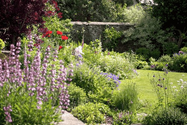 wildlife friendly garden
