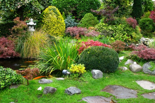 Garden inspiration for 2026